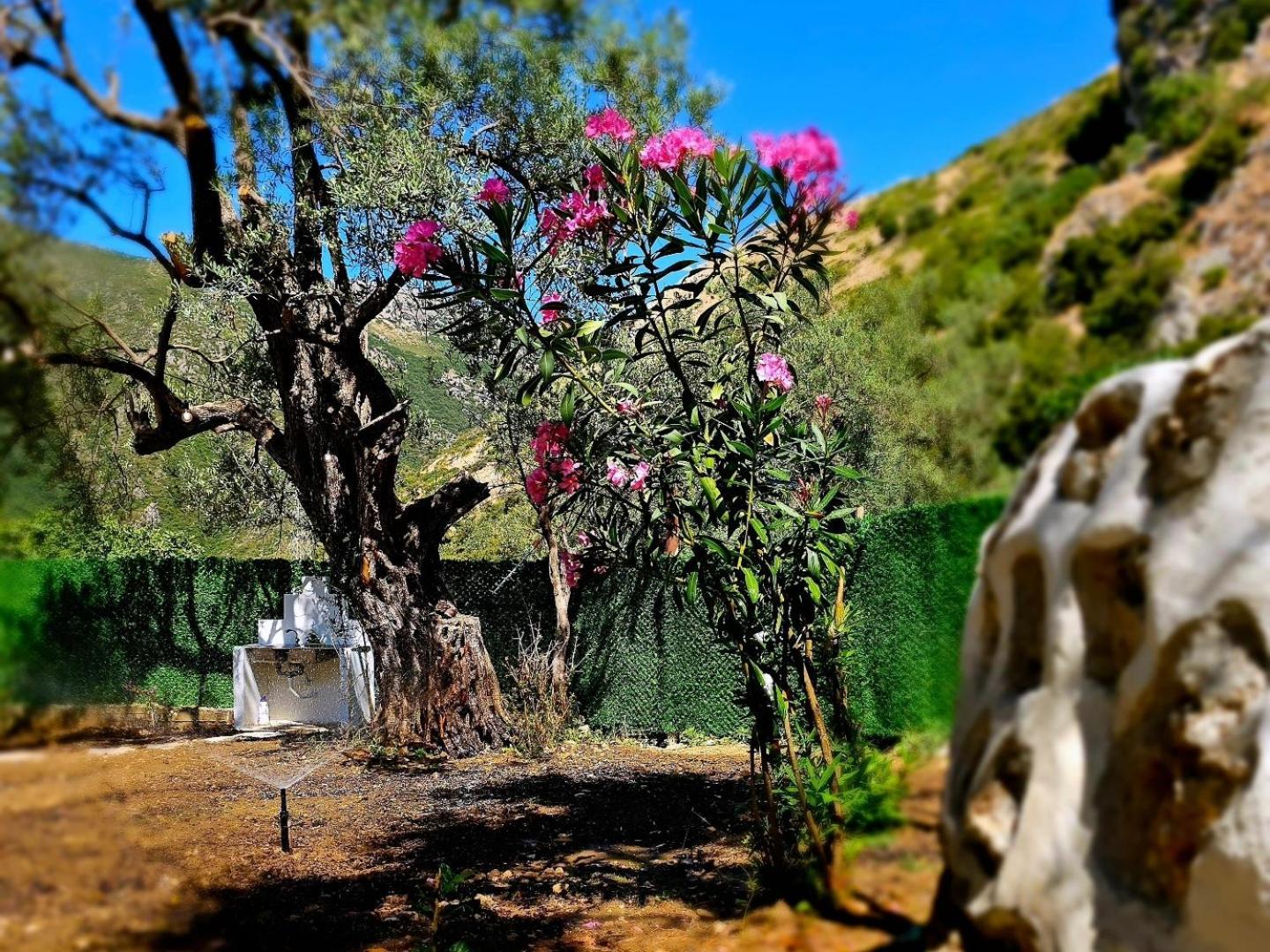 Maison d'hôtes Lemon House Borsh *