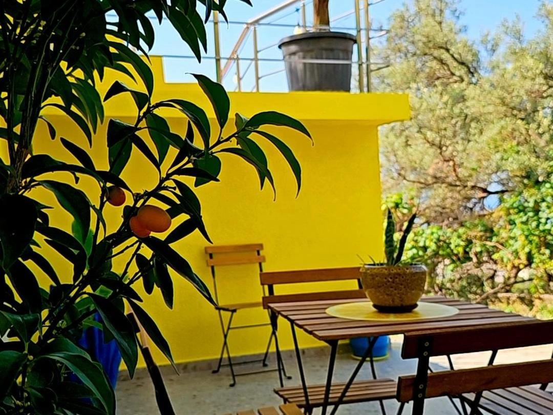 Lemon House Borsh *